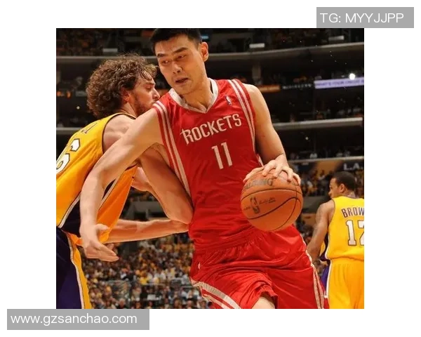 退役前后姚明的篮球生涯与人生转折探析